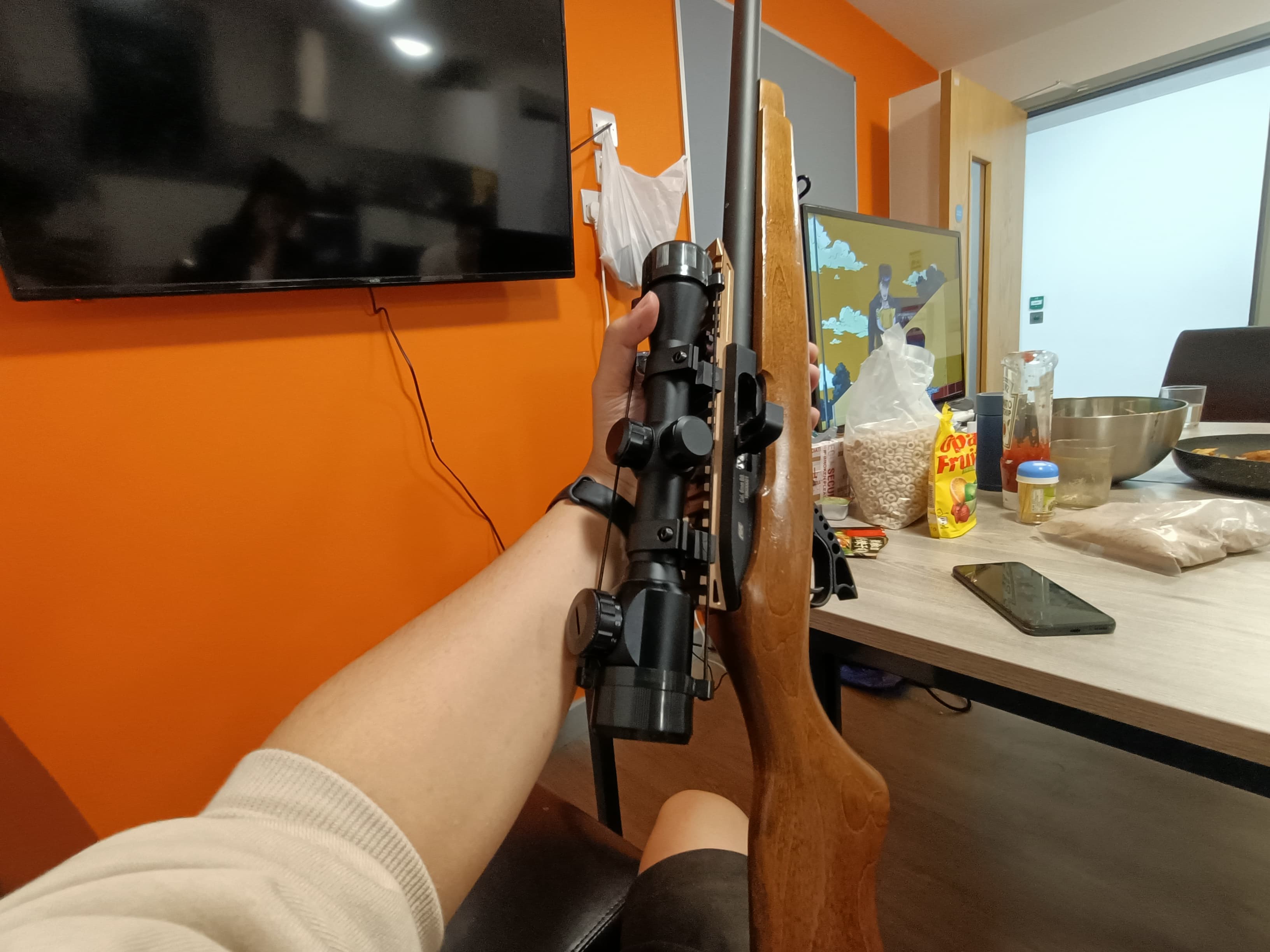 Air Rifle with Scope