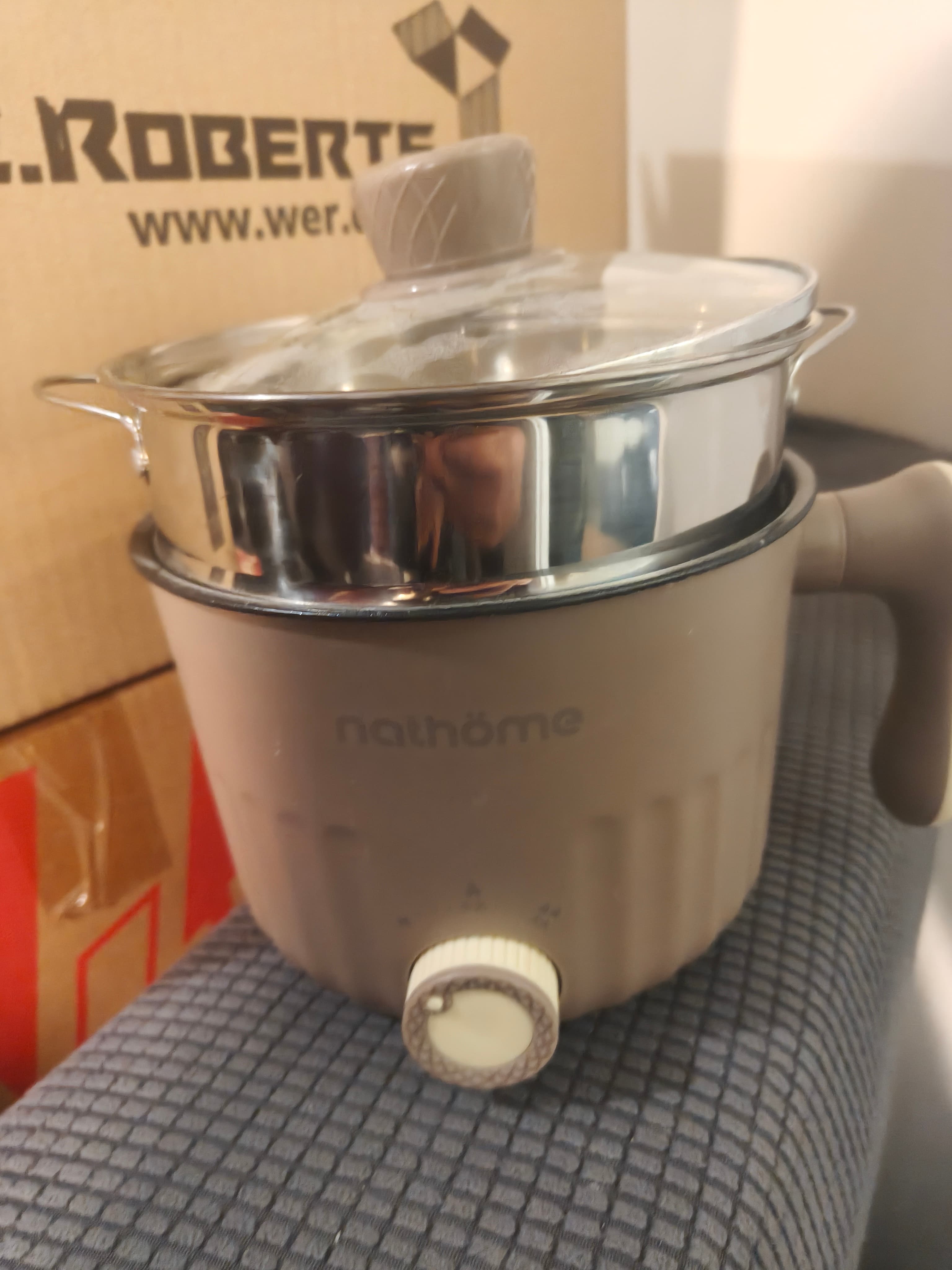 Nathome Electric Steamer
